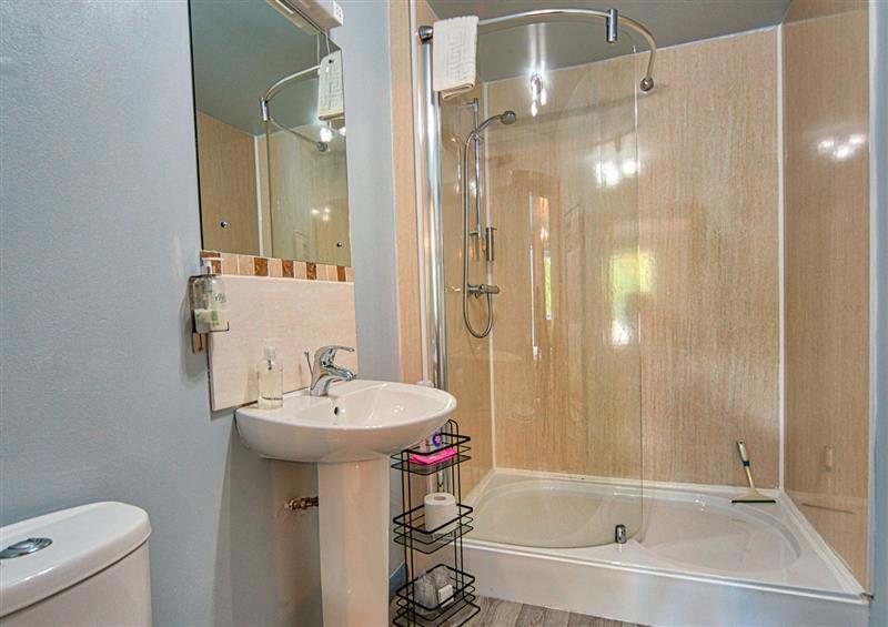 The bathroom at Vyrnwy Lakeside Apartment, Bala