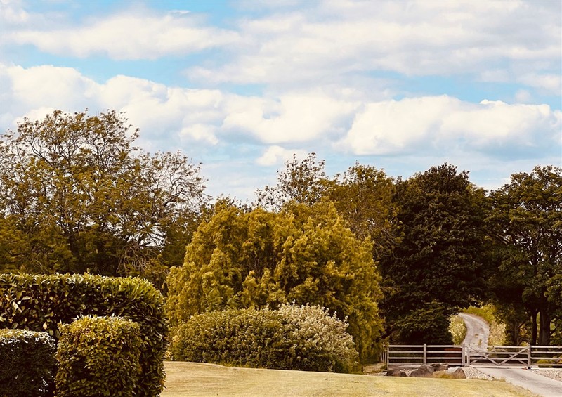 The garden at Wabi, Gembling near Beeford