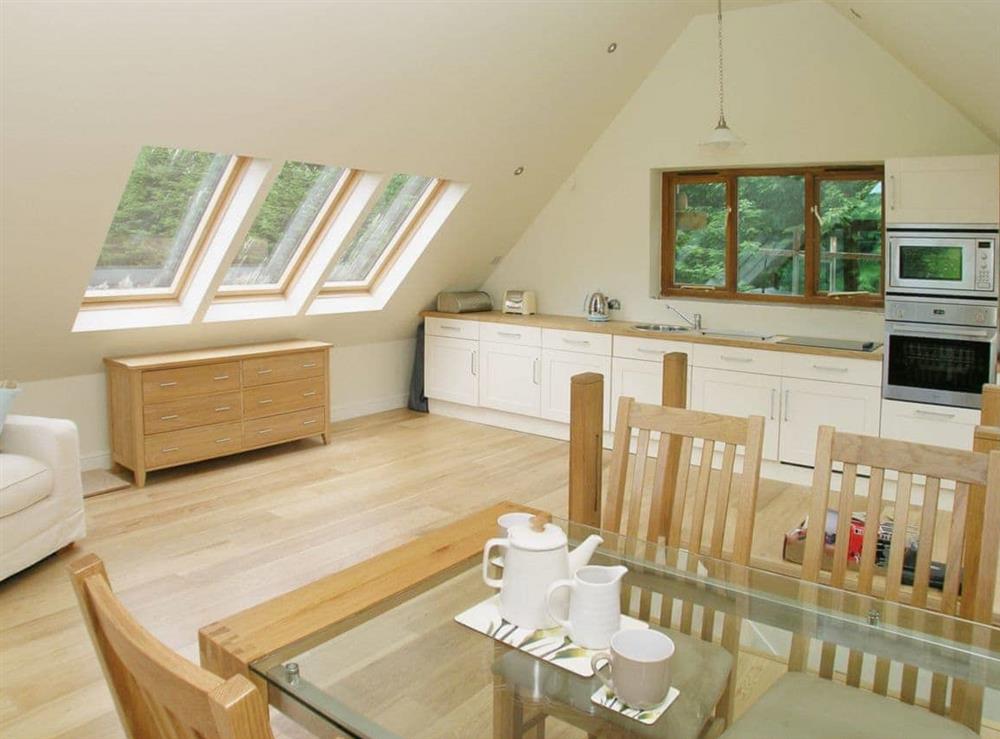 Open plan living/dining room/kitchen (photo 4) at Wadadli Lodge in Ivybridge, S. Devon., Great Britain