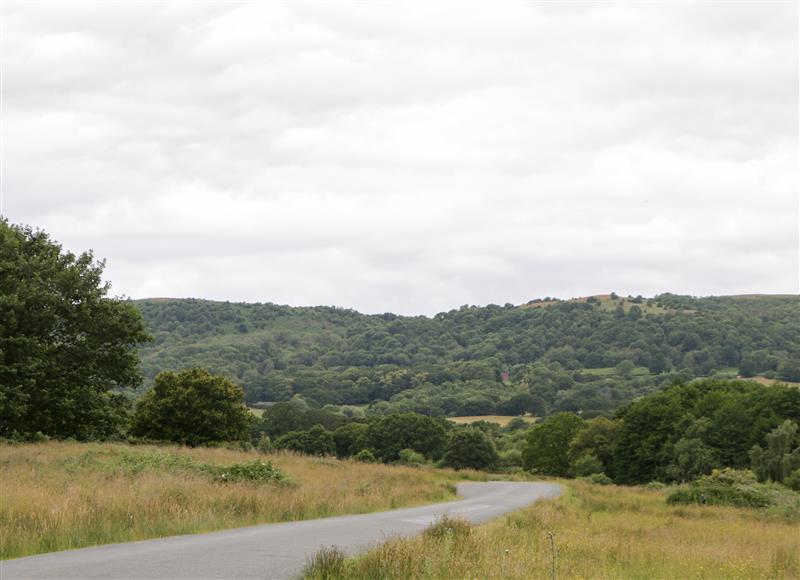 Rural landscape