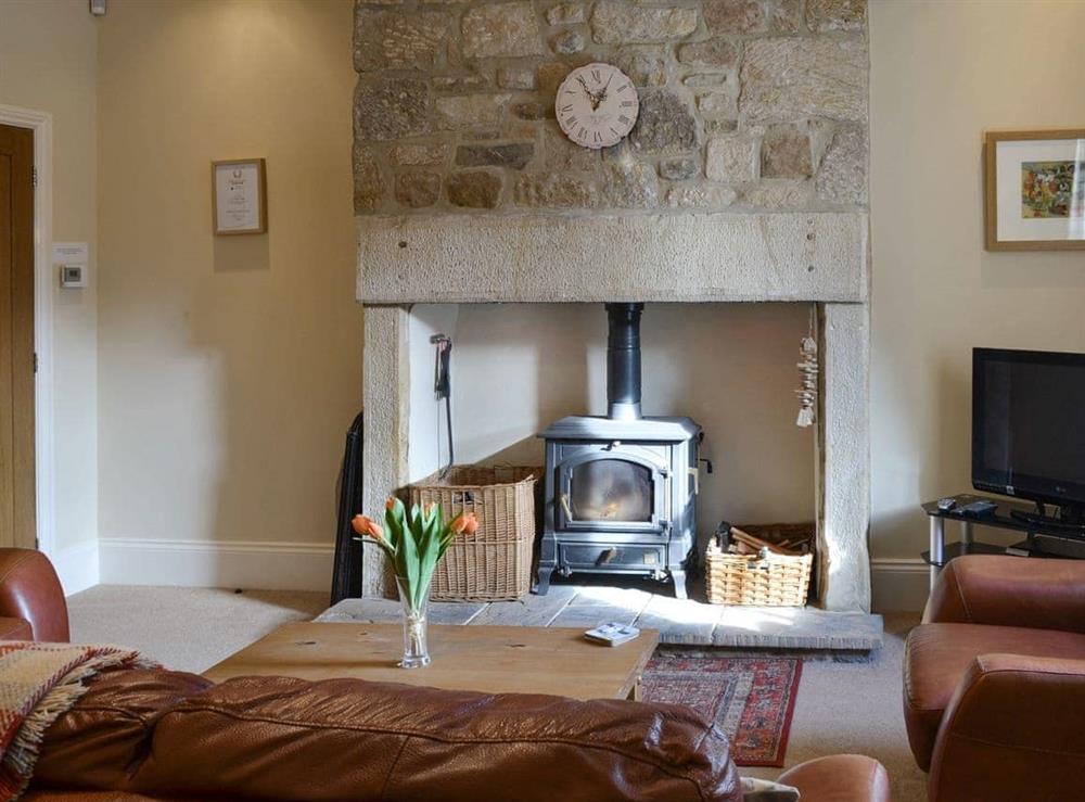 Welcoming living room with wood burner at Wagtail Cottage in Lesbury, near Alnwick, Northumberland