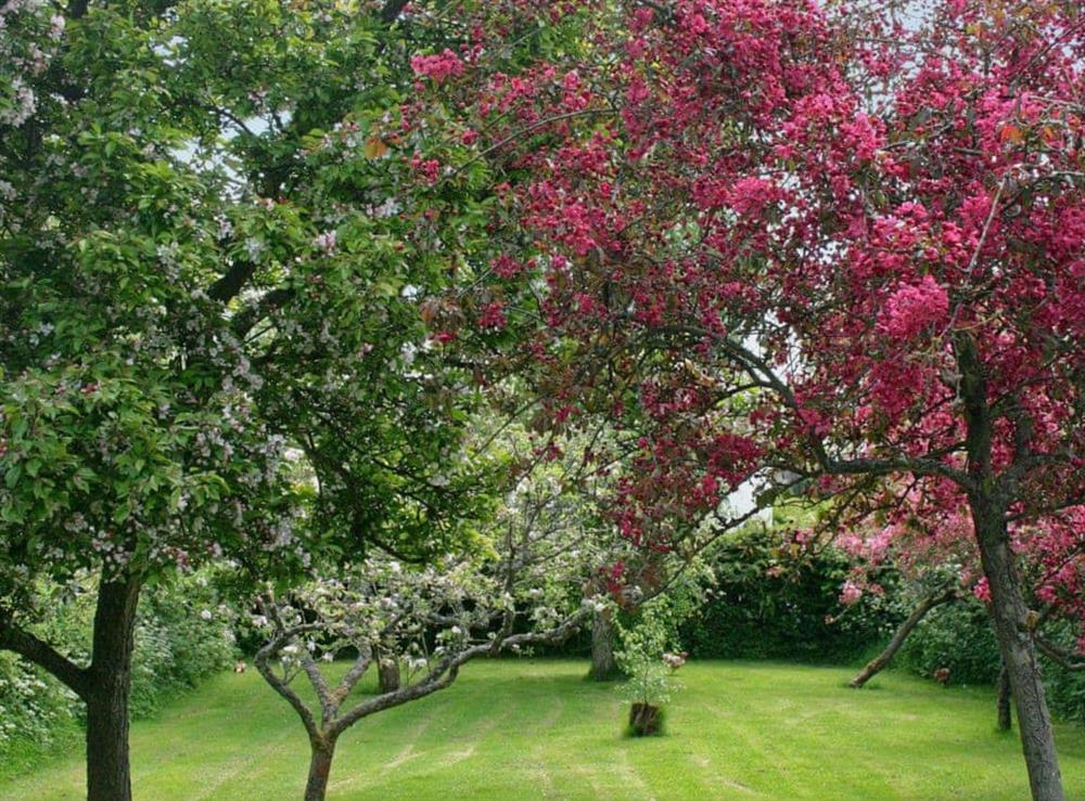 Beautiful gardens at Walkmill Lodge in Norbury, Nr Bishop’s Castle, Shropshire., Great Britain
