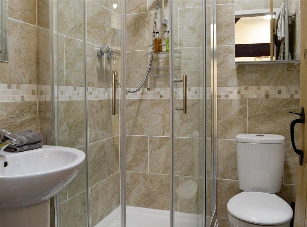 Tiled shower room at Barn Owl Bothy, 