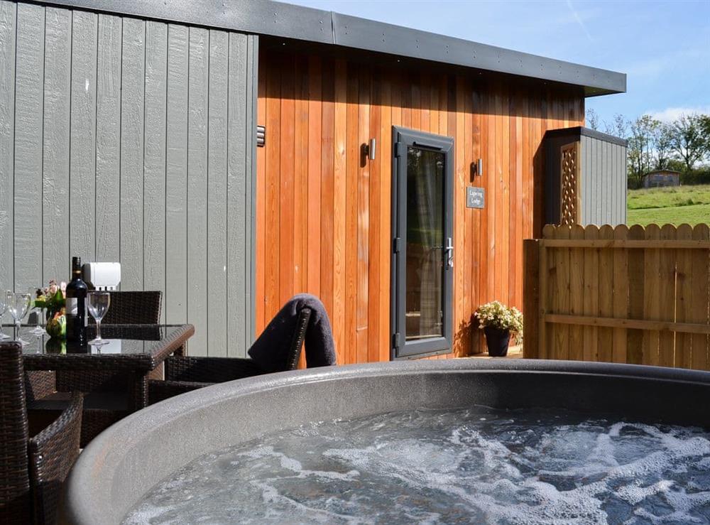 Marvellous cladded studio lodge with private hot tub at Lapwing, 