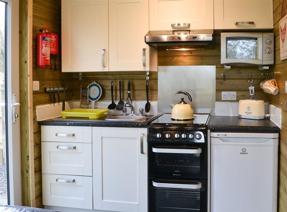 Fully appointed kitchen at Treehouse Cabin, 