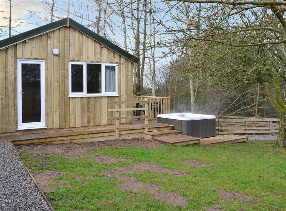 Lawned garden area to front of property at Treehouse Cabin, 