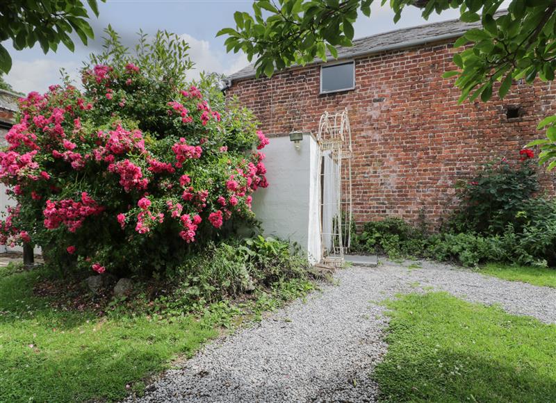 Enjoy the garden at Walled Garden Cottage, Llandyrnog near Denbigh