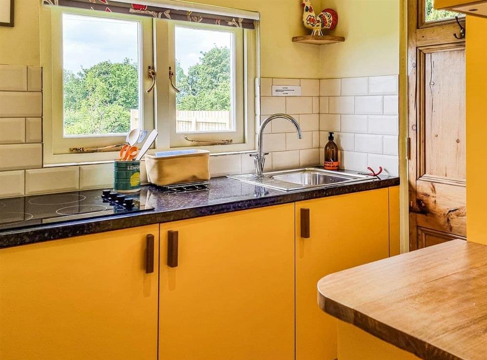 Kitchen area at Walnut Lodge in Launcherley, near Wells, Somerset