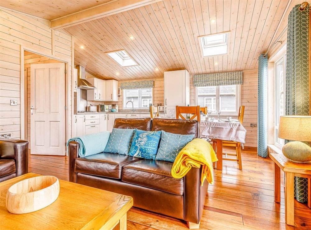 Open plan living space at Walnut Lodge in Mercia Marina, Willington, Derbyshire