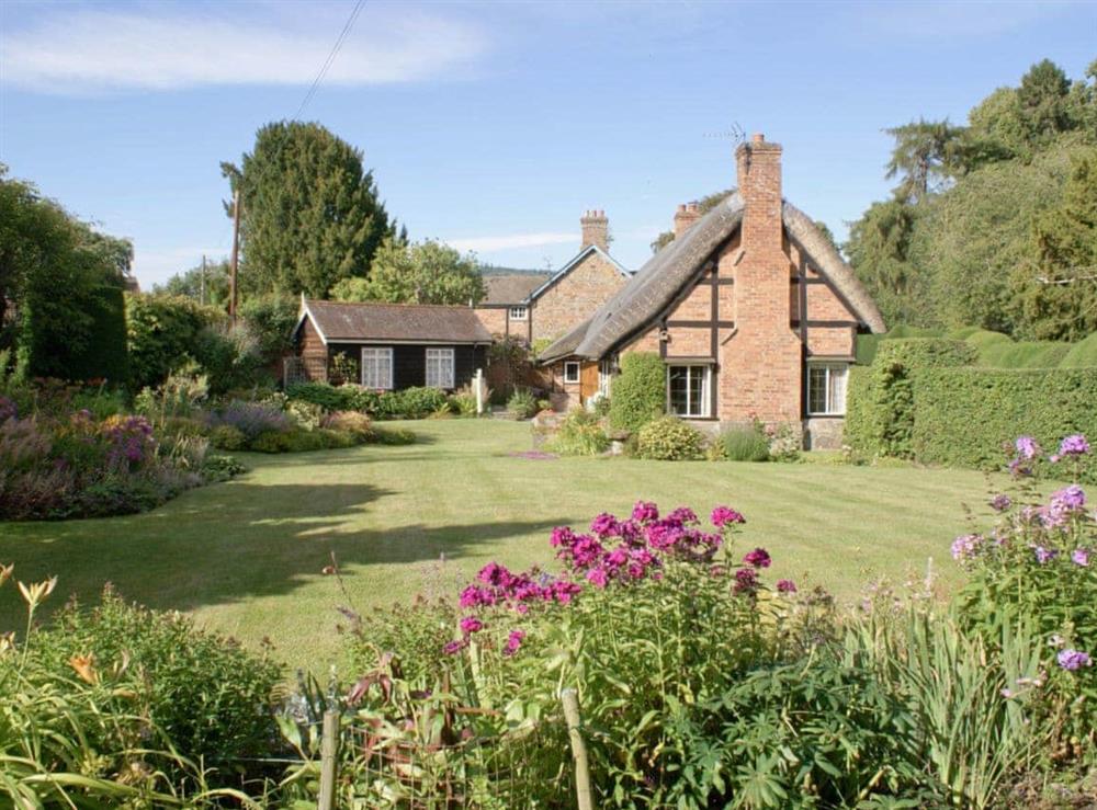 Garden and grounds at Walnut Tree Cottage in Bucknell, near Clun, Shropshire