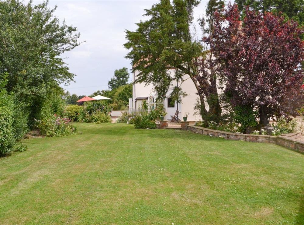 Lawned garden area at Walnut Tree House in Tilney St Lawrence, near King’s Lynn, Norfolk