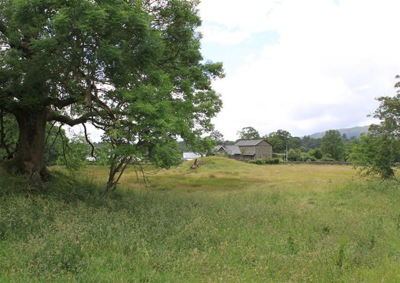 Rural landscape at Wansfell, Ambleside