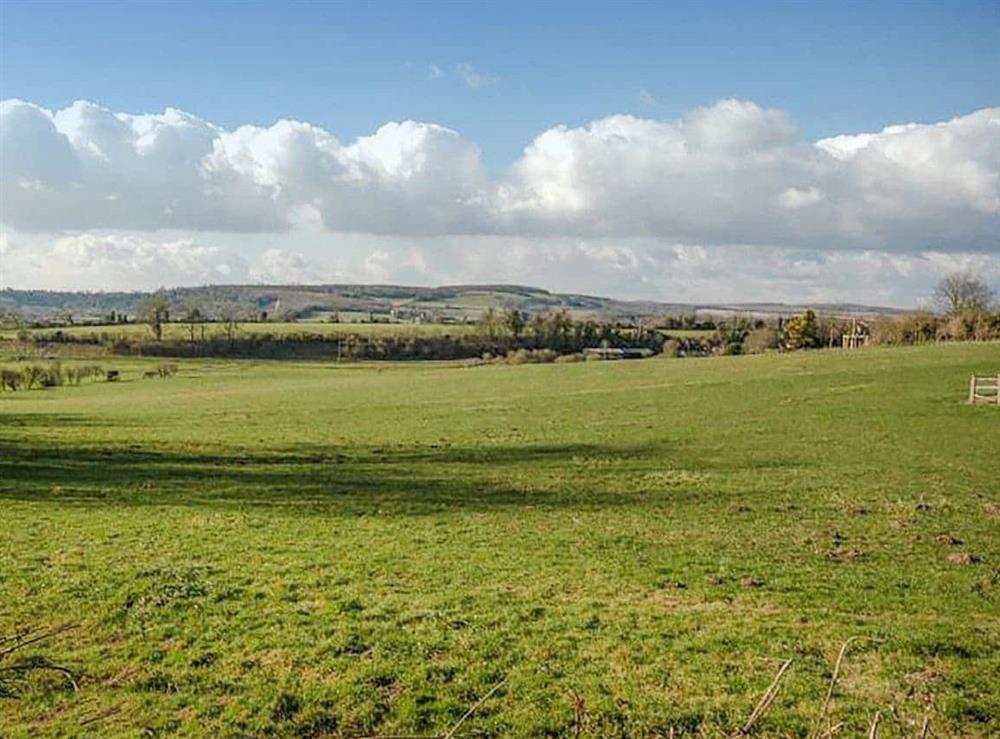 Rural landscape at Warre Cottage in Burpham, West Sussex