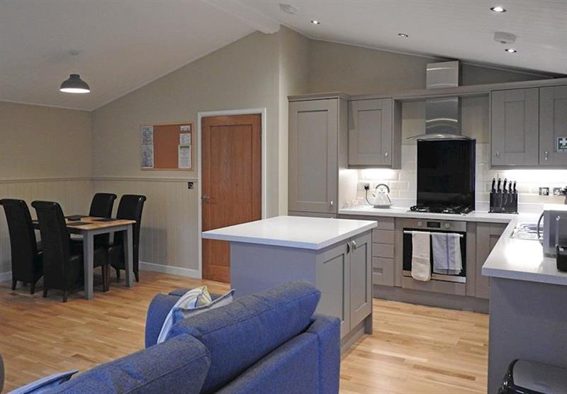 Living room, kitchen and dining area in Selby Superior Lake View at Warren Wood Country Park in Hailsham, East Sussex