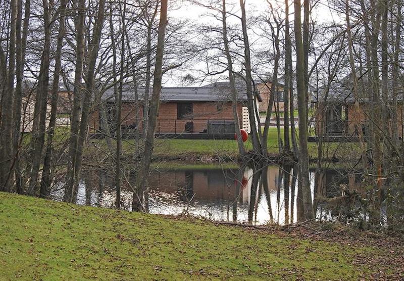Lodges across the lake at Warren Wood Country Park in Hailsham, East Sussex