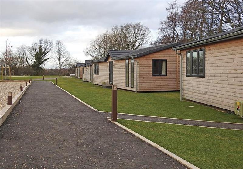 Lodges at Warren Wood Country Park in Hailsham, East Sussex