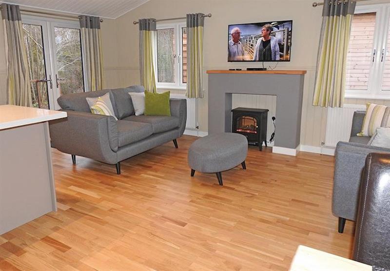 The living room in a Selby Superior Lake View at Warren Wood Country Park in Hailsham, East Sussex