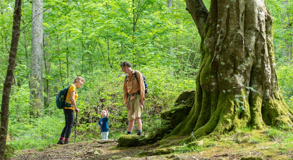 A family looking up at Watendlath Bothy in Keswick, Cumbria