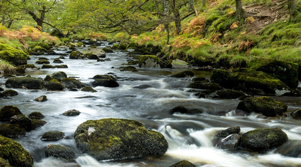 A view of Watendlath Beck Borrowdale, Lake District at Watendlath Bothy in Keswick, Cumbria