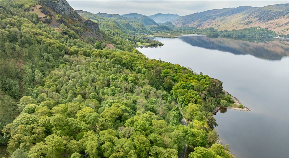 Aerial view of Great Wood looking down towards the Jaws of Borrowdale at Watendlath Bothy in Keswick, Cumbria