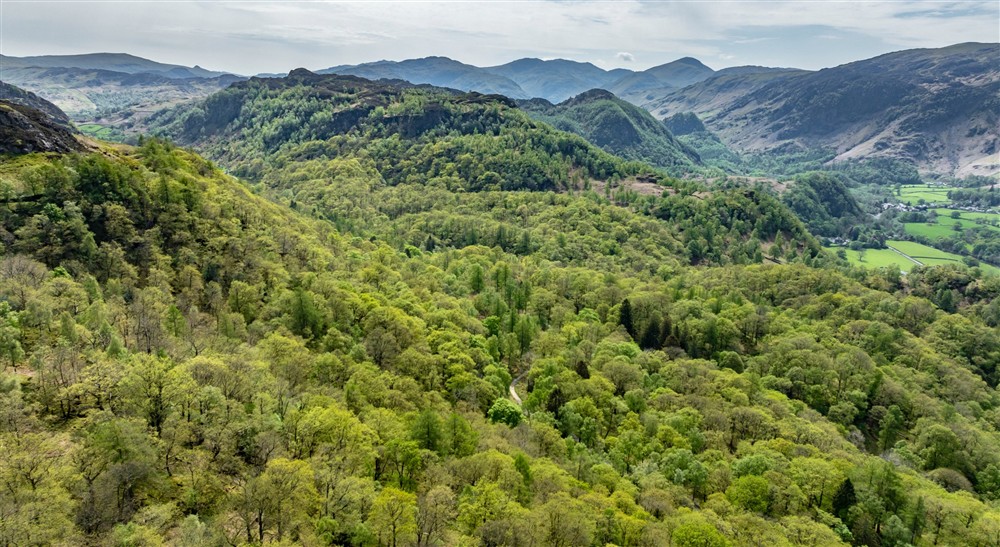 An areal view of the Borrowdale Rainforest on a sunny spring day at Watendlath Bothy in Keswick, Cumbria