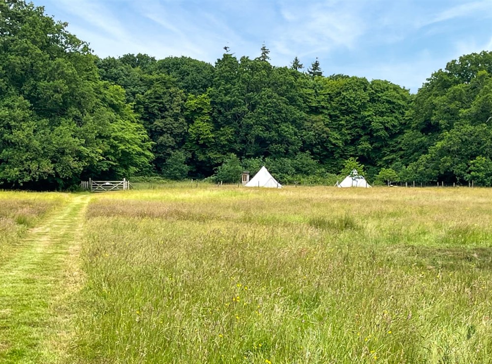 Setting at Water Vole in Shadoxhurst, Ashford, Kent