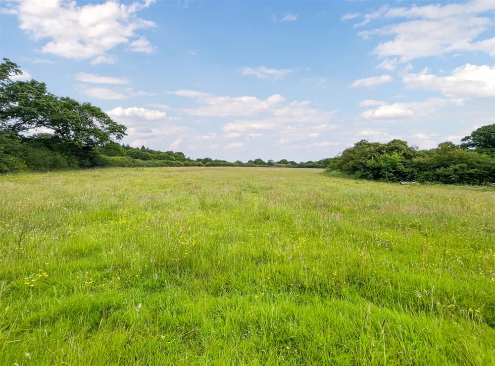 View at Water Vole in Shadoxhurst, Ashford, Kent