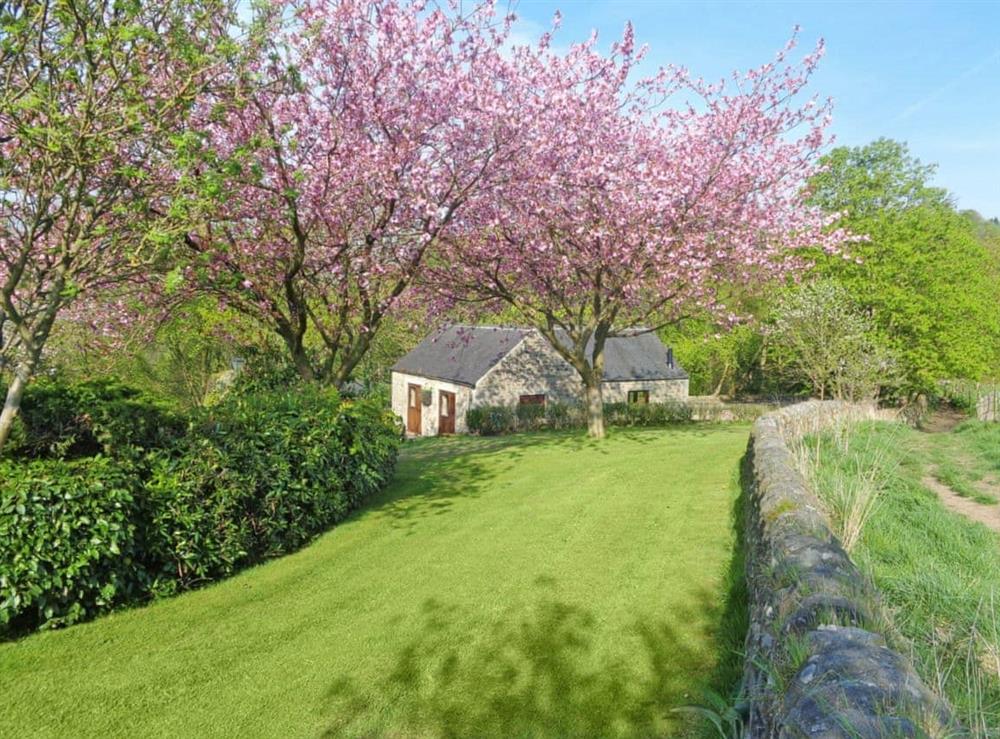Garden & grounds at Waterfall Cottage in Lumsdale, Tansley Wood, near Matlock, Derbyshire
