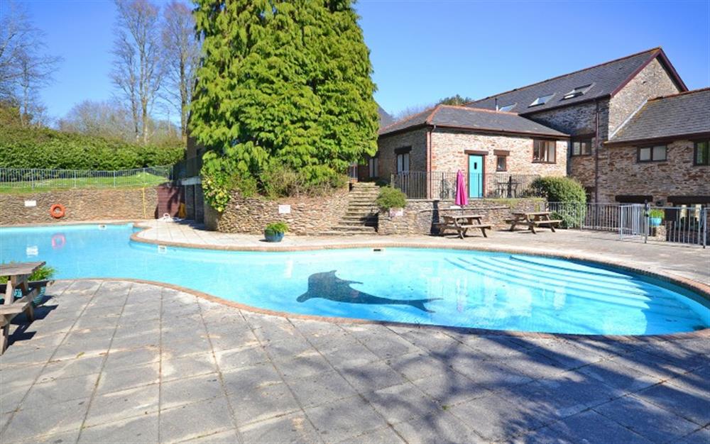 Another look at the pool at Waterfall Cottage in Modbury