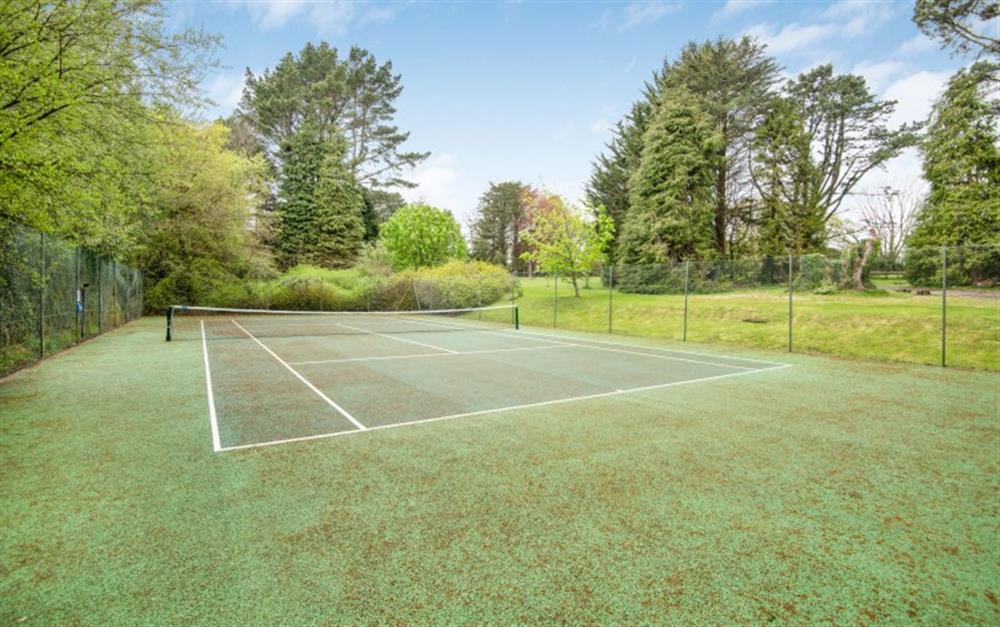 Colmer tennis courts at Waterfall Cottage in Modbury