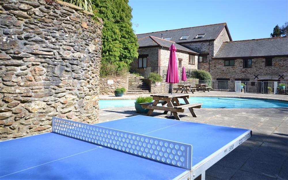 The pool and table tennis at Waterfall Cottage in Modbury