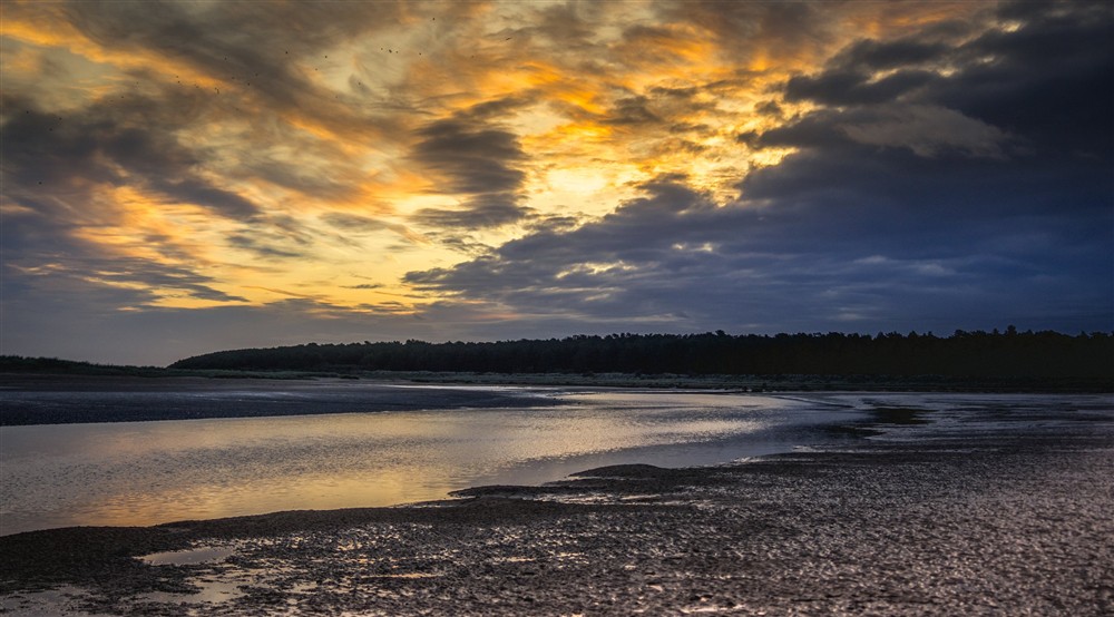Holkham beach, a five-minute drive from Watermill Apartment, Norfolk at Watermill Apartment in Burnham-overy-staithe, Norfolk