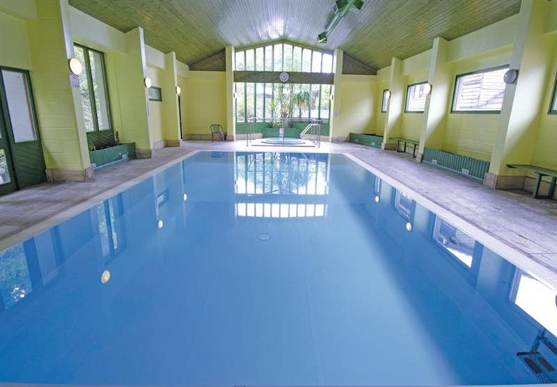 Indoor heated swimming pool at Watermouth Lodges in Berrynarbor, Ilfracombe, Devon