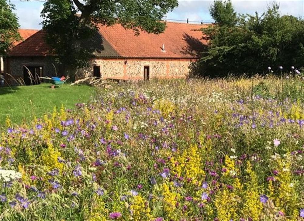 The barn is surrounded by wildflower meadow in the summer at Waterside Barn, Binham near Fakenham