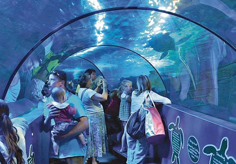 Weymouth Sea Life Adventure Park at Waterside Holiday Park and Spa in Weymouth, Dorset