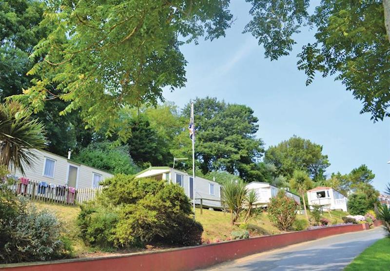 The park setting (photo number 2) at Waterside Holiday Park in South Devon, South West of England