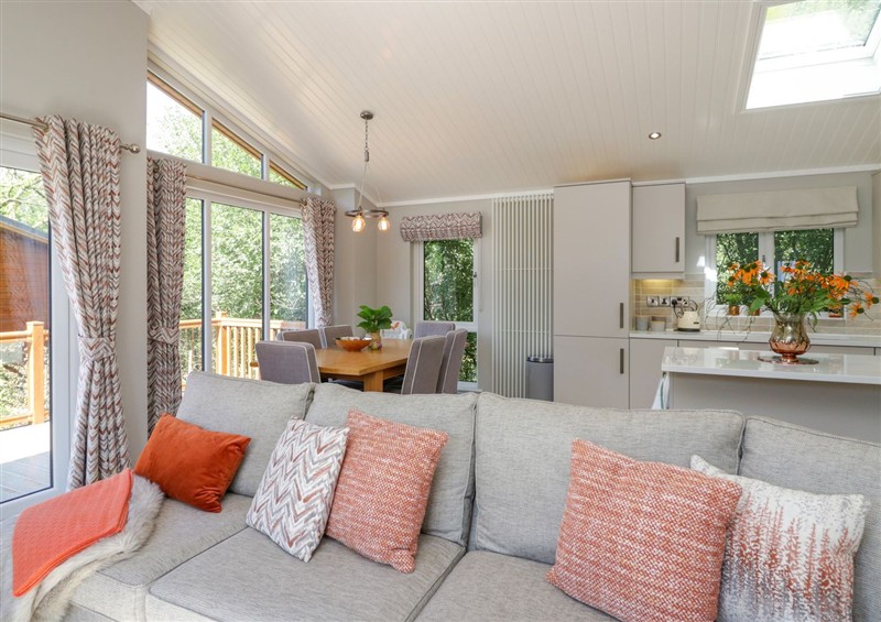 Enjoy the living room (photo 2) at Waterside Lodge, 55A Bowness