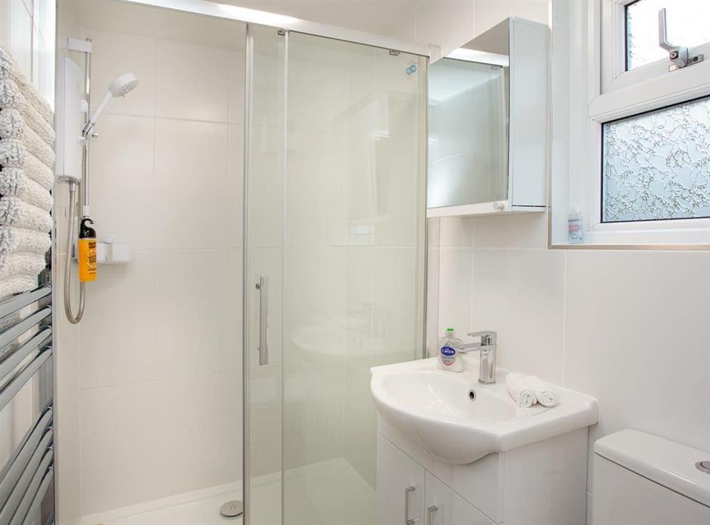 Shower room at Waterside Park Annexe in Kingsbridge, Devon