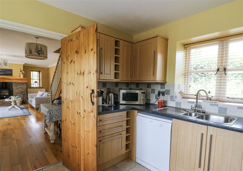 The kitchen at Waun Yscir, Merthyr Cynog near Brecon