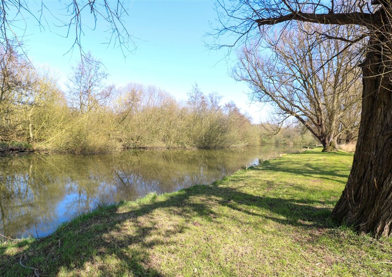 The area around Wayford Mill