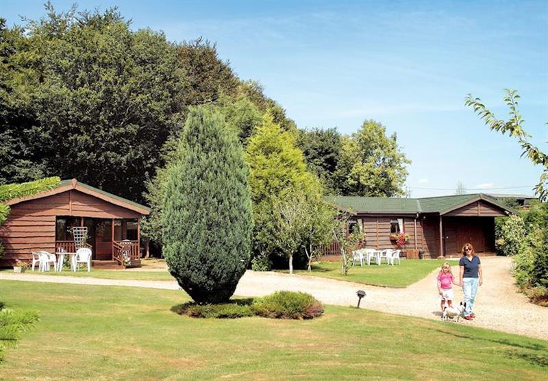 The pretty setting of Wayside Lodges at Wayside Lodges in Wiltshire, Heart of England
