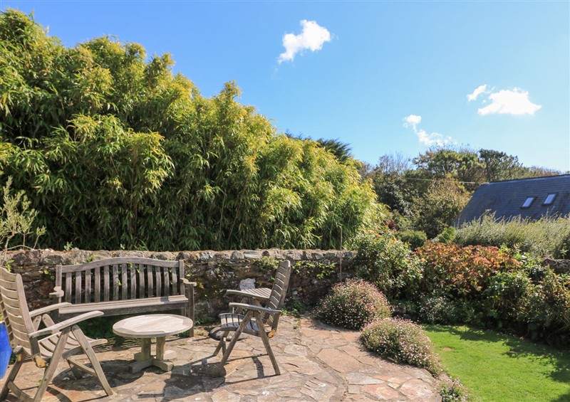 The garden at Wayside, near Kingsbridge
