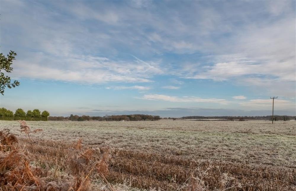 The fields surrounding Weavers at Weavers, Felbrigg near Norwich