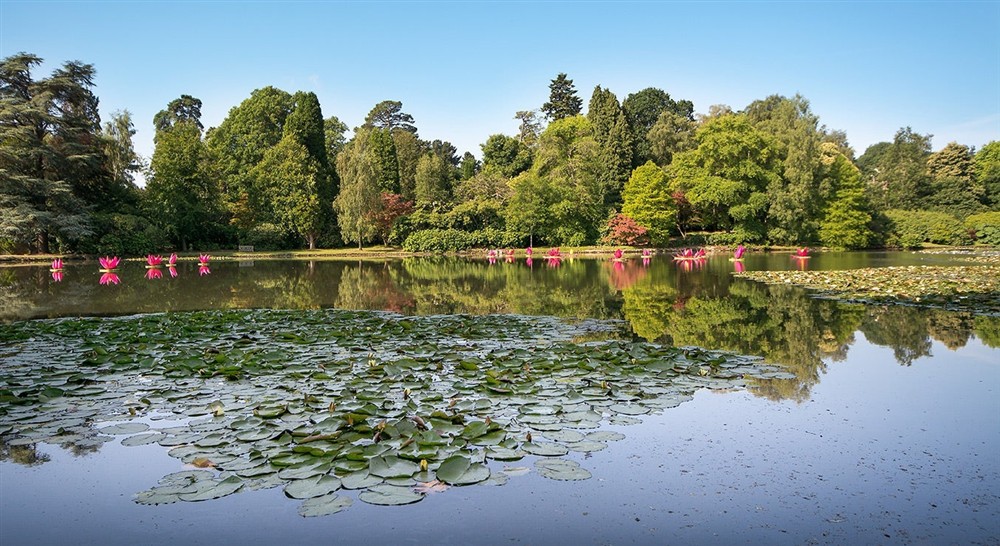 Sheffield Park and Gardens, East Sussex at Welbeck Cottage in Uckfield, East Sussex