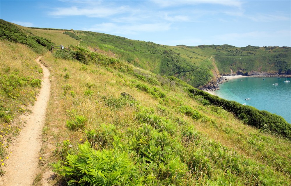 The setting