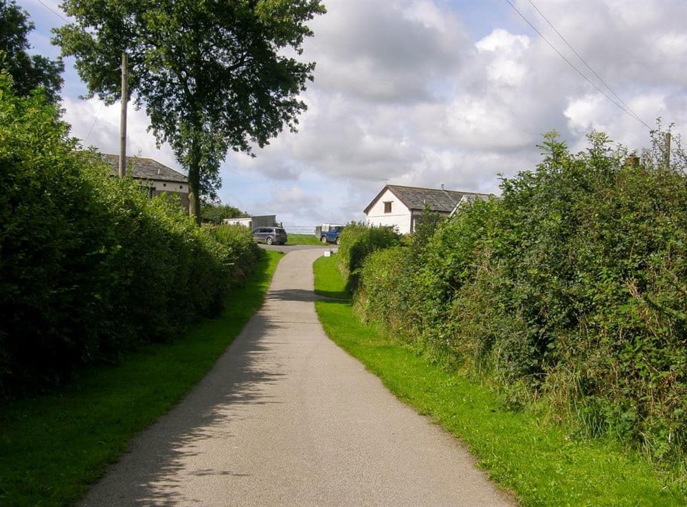 Access drive up to the farm at Trewin Court, 