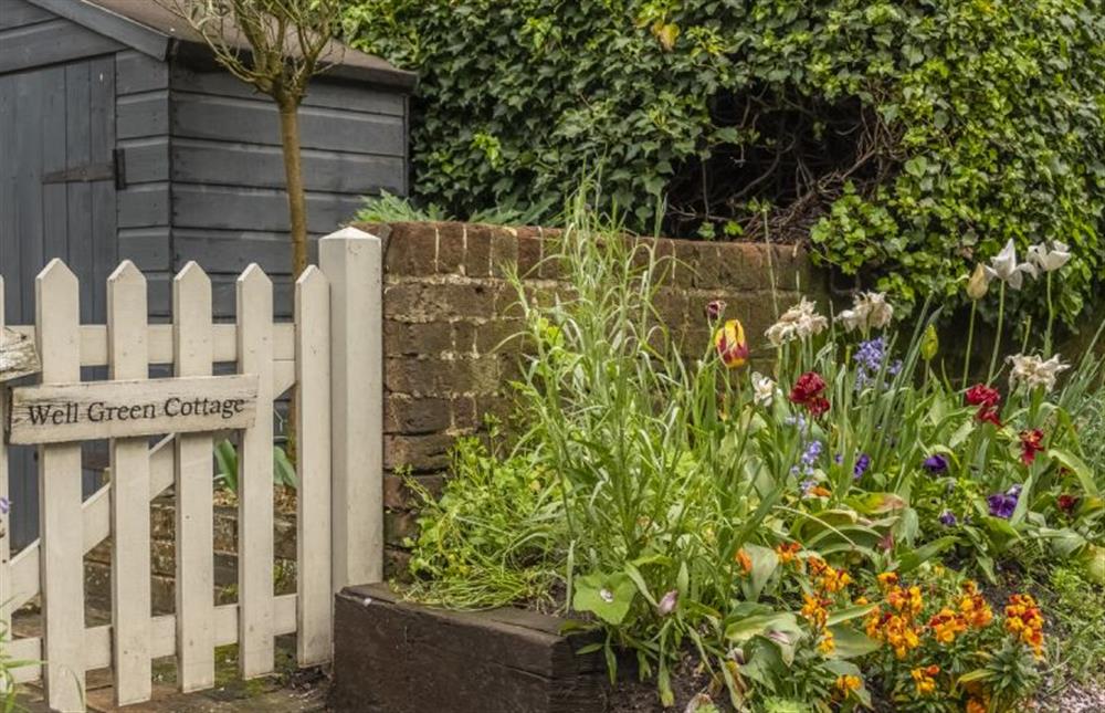 Pretty flower beds