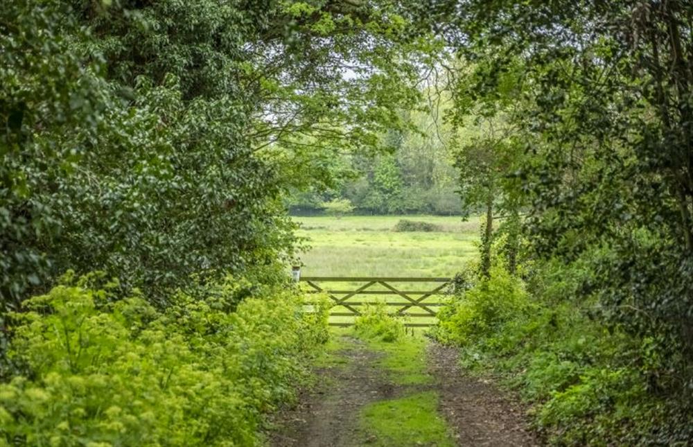 The village provides plenty of pretty walks to explore