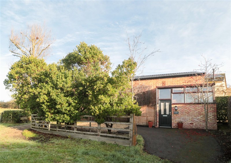 Outside at Wellinghill Cottage, Cheltenham