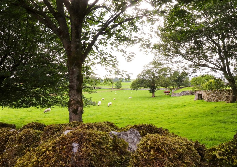 Enjoy the garden at Welly Bob Cottage, Airton